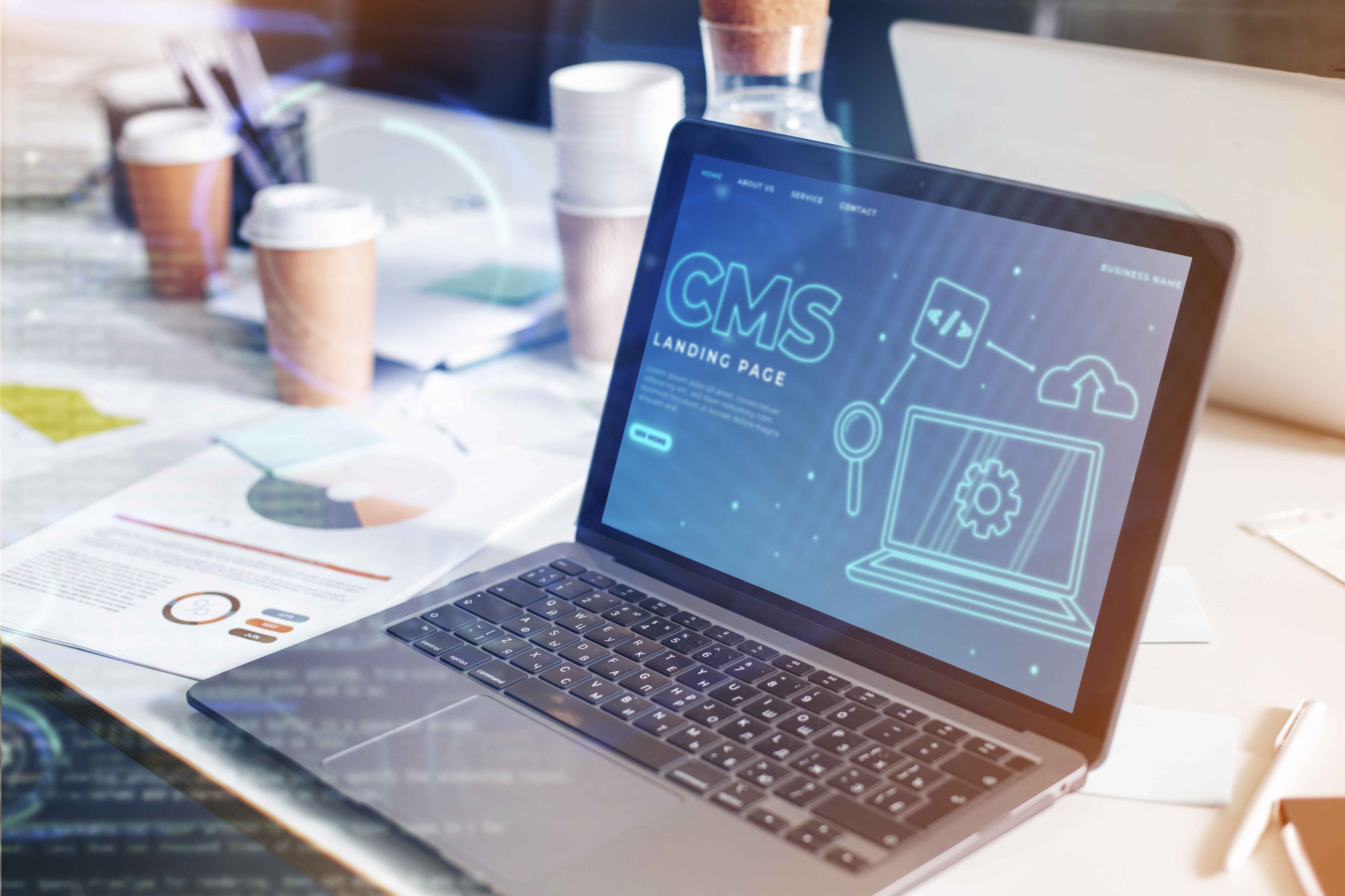 CMS Development Services