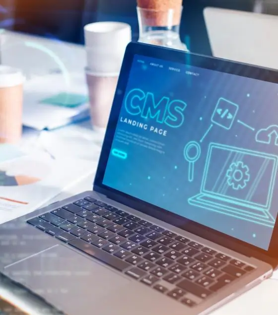 WordPress a Better CMS than Webflow